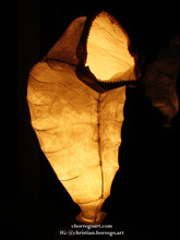 Load image into Gallery viewer, REINCARNATION / REENCARNACION  (available)
